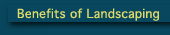 Benefits of Landscaping